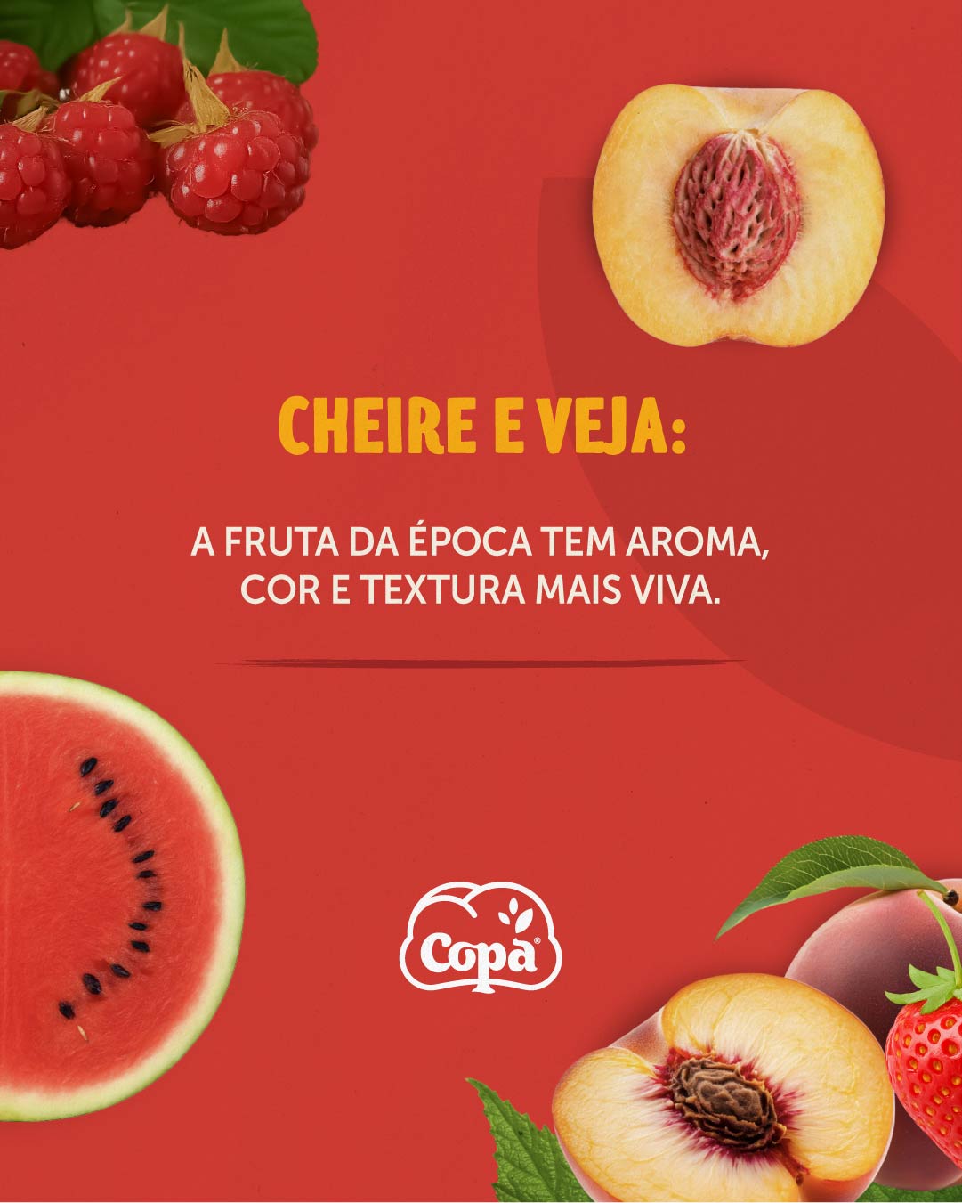 COPA_JULHO_fruta da época 3